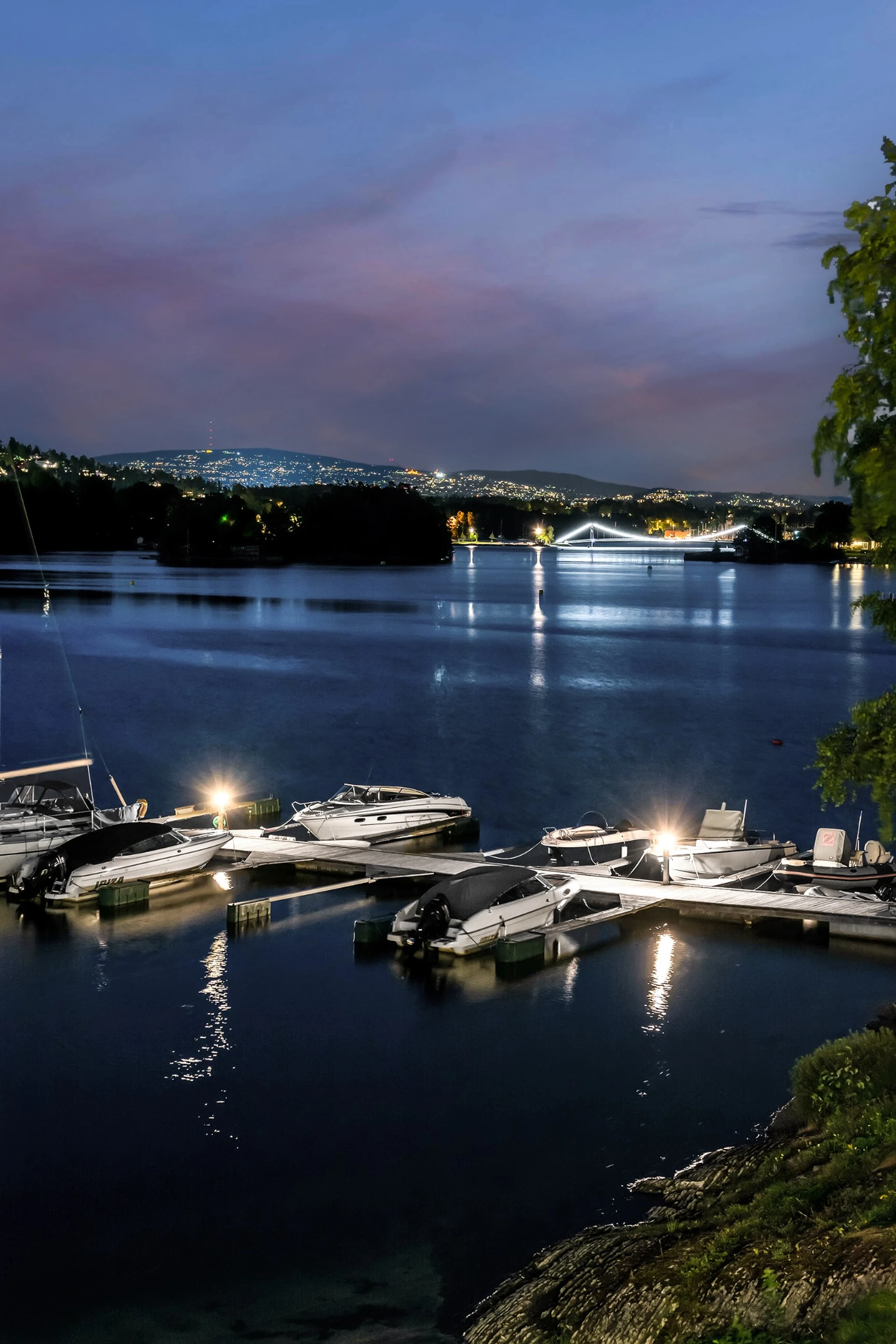 Evening marina view with Oslo city lights in background